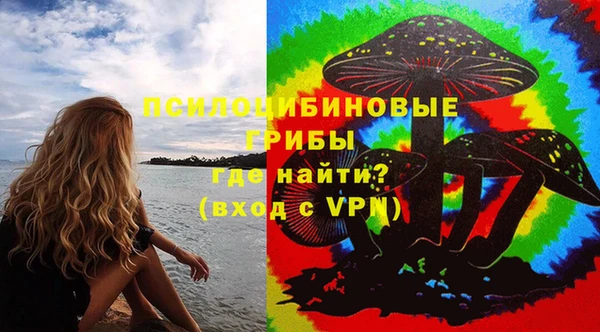 ГАЛЛЮЦИНОГЕННЫЕ ГРИБЫ Абинск