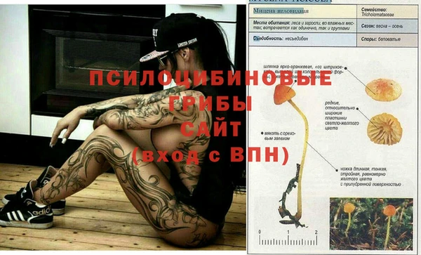 гидра Абдулино