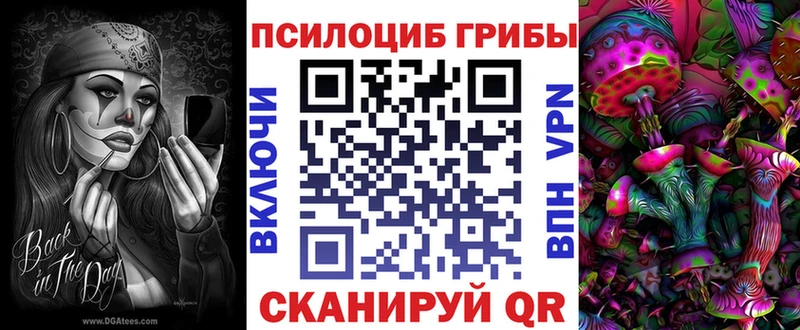 Галлюциногенные грибы Psilocybe  цены наркотик  Ефремов 