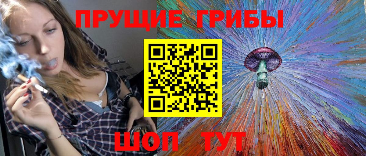 Ефремов  купить   Вход с VPN  Псилоцибиновые грибы GOLDEN TEACHER 