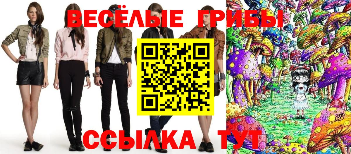 Псилоцибиновые грибы прущие грибы Ефремов